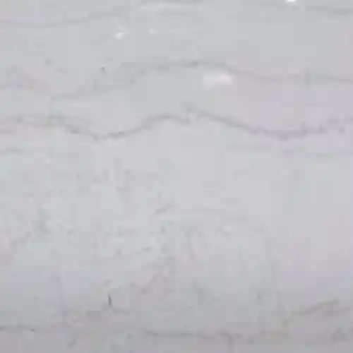 Striated White Marble