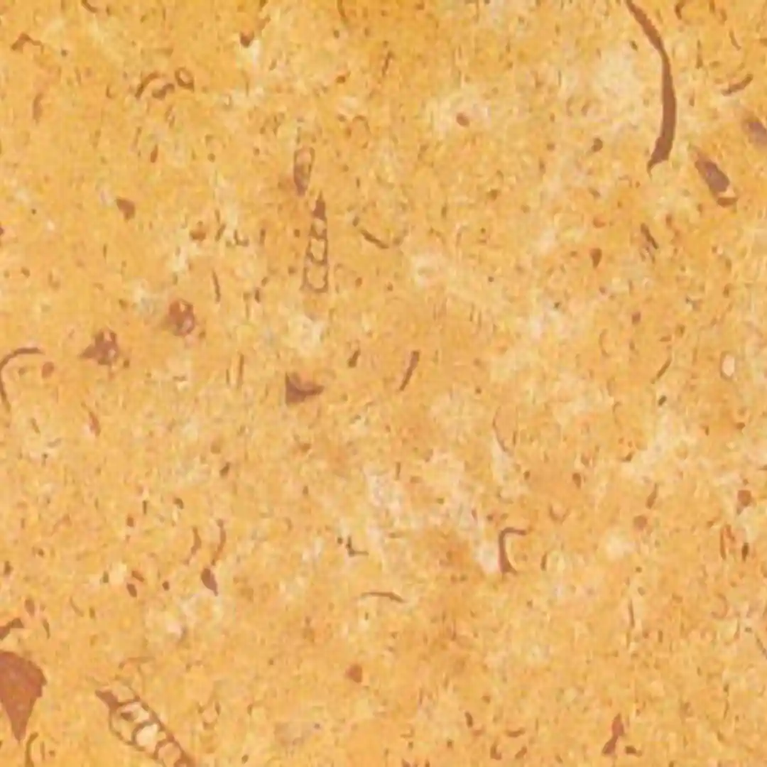 Galaxy Gold Limestone