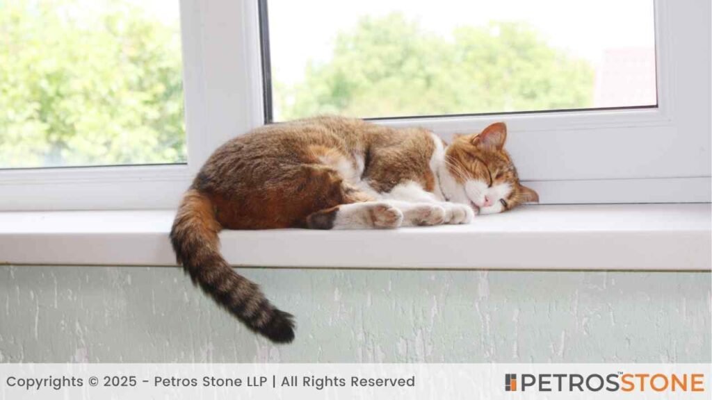 Finding the Right Sill Material for You
