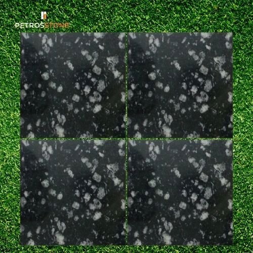 Coin Black Granite Tile