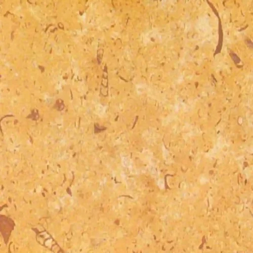 Galaxy Gold Limestone