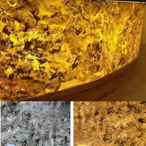 California Gold Translucent Veneer Mockup