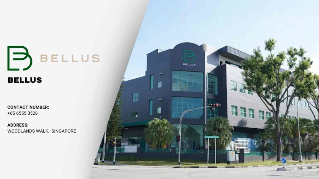 Bellus