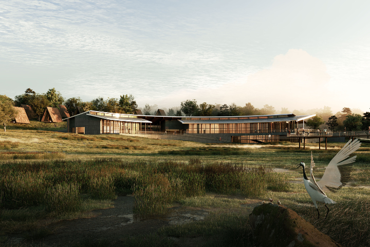 CAM_WETLAND-VIEW