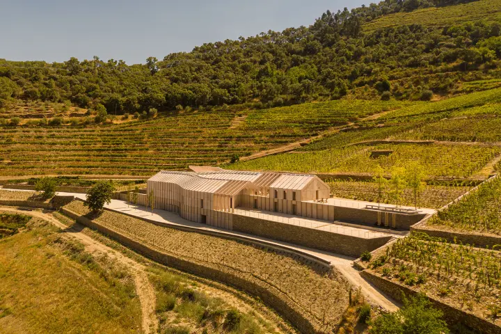 QUINTA DE ADORIGO WINERY (3)