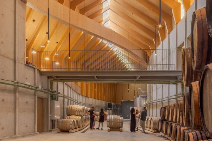 QUINTA DE ADORIGO WINERY2