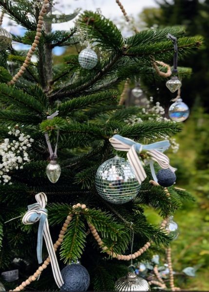 sorcha christmas
