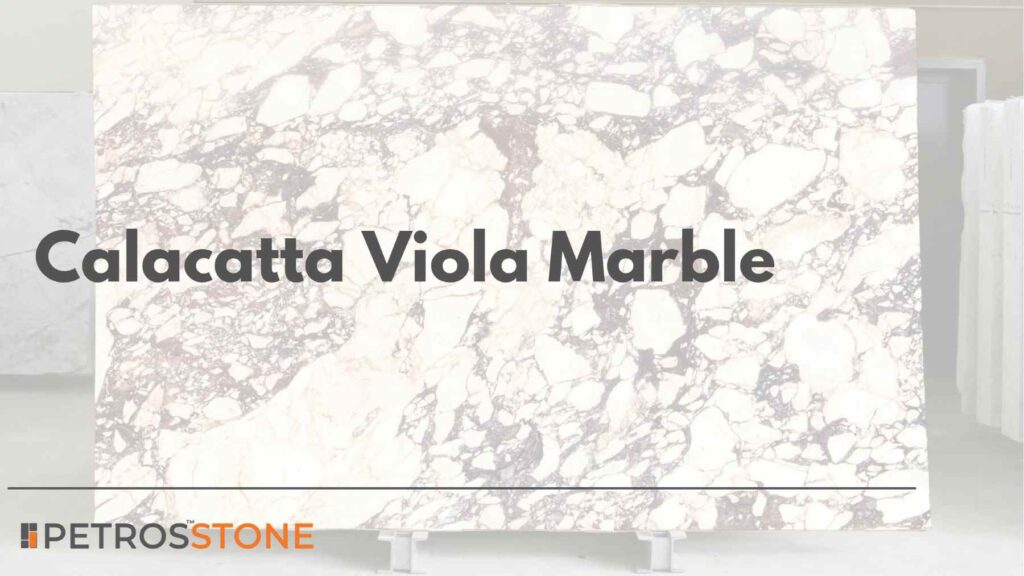 Different Types of Calacatta Viola Marble Review of 4 Global Origins