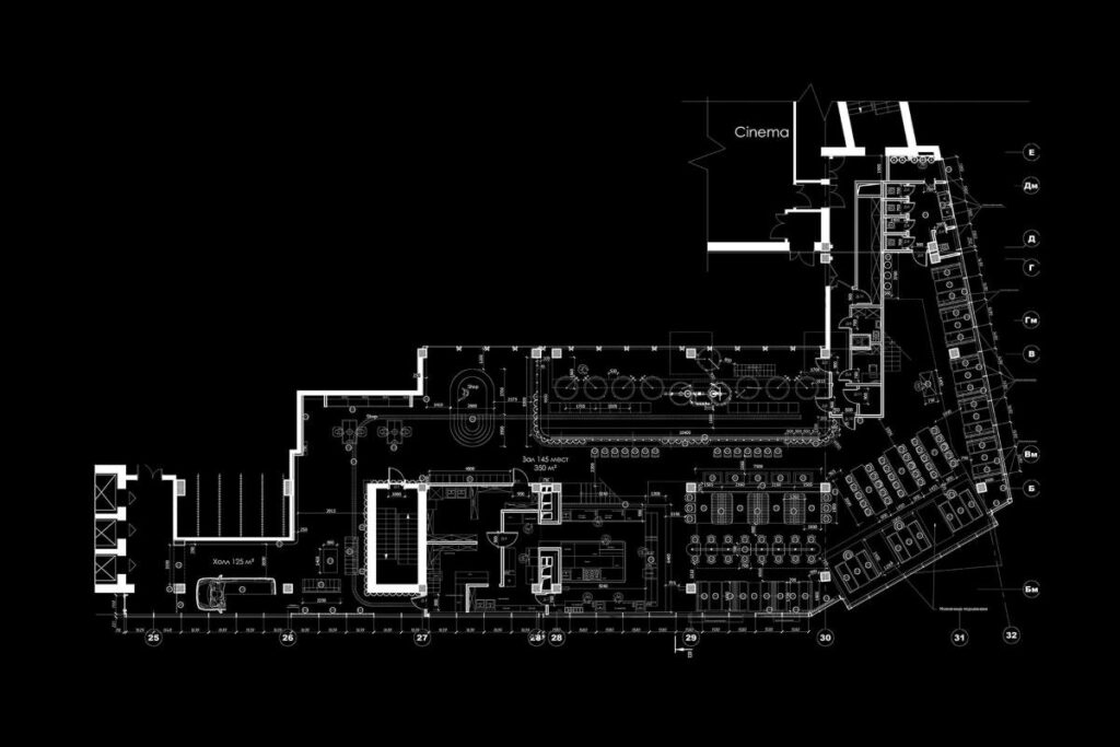 Development Plan