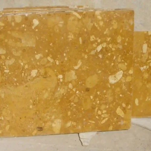 Fossil Gold Limestone Slab